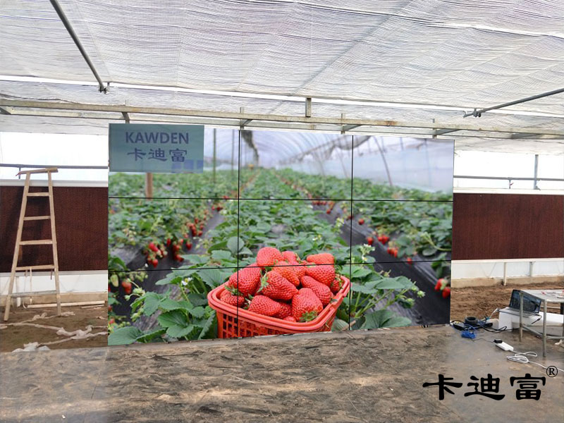 【武汉ray竞技app
】农业生态园用拼接屏进行科普教育案例