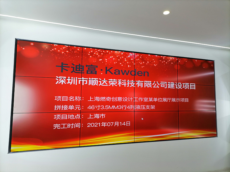 上海某政府单位展厅ray竞技app